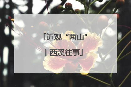 近观“两山”丨西溪往事