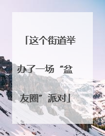 这个街道举办了一场“盆友圈”派对