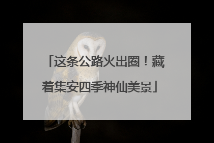 这条公路火出圈！藏着集安四季神仙美景