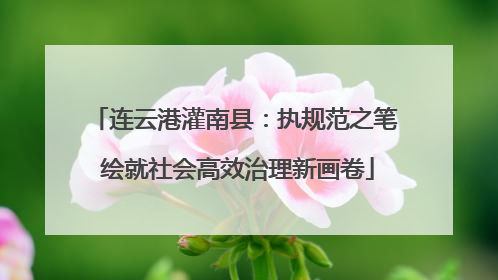 连云港灌南县：执规范之笔 绘就社会高效治理新画卷