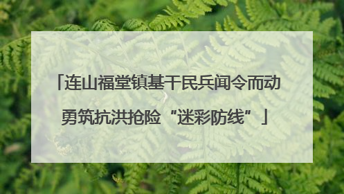 连山福堂镇基干民兵闻令而动  勇筑抗洪抢险“迷彩防线”