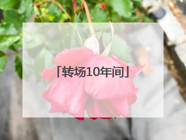 转场10年间