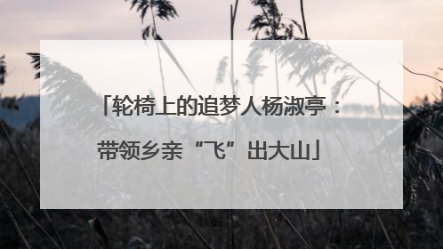 轮椅上的追梦人杨淑亭：带领乡亲“飞”出大山
