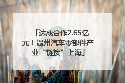 达成合作2.65亿元！温州汽车零部件产业“链接”上海