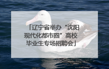 辽宁省举办“沈阳现代化都市圈”高校毕业生专场招聘会