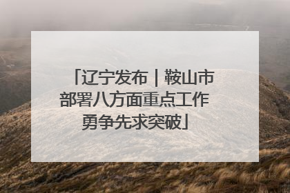 辽宁发布｜鞍山市部署八方面重点工作勇争先求突破