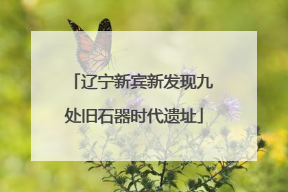 辽宁新宾新发现九处旧石器时代遗址