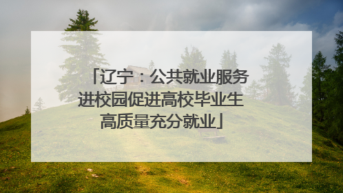 辽宁：公共就业服务进校园促进高校毕业生高质量充分就业