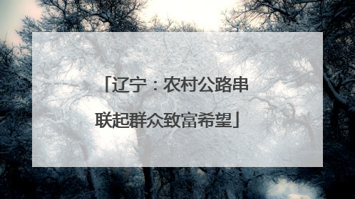 辽宁：农村公路串联起群众致富希望