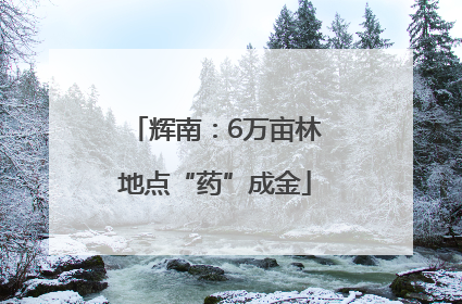 辉南：6万亩林地点“药”成金