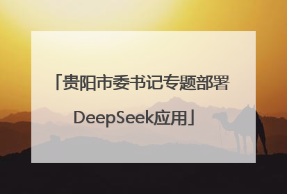 贵阳市委书记专题部署DeepSeek应用