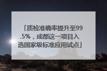 质检准确率提升至99.5%，成都这一项目入选国家级标准应用试点