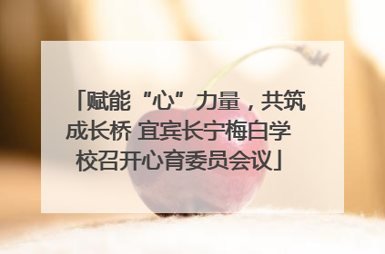 赋能“心”力量，共筑成长桥 宜宾长宁梅白学校召开心育委员会议
