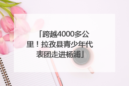 跨越4000多公里！拉孜县青少年代表团走进杨浦