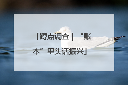 蹲点调查｜“账本”里头话振兴
