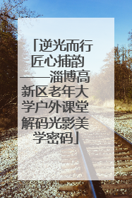 逆光而行 匠心捕韵——淄博高新区老年大学户外课堂解码光影美学密码