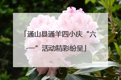 通山县通羊四小庆“六·一”活动精彩纷呈