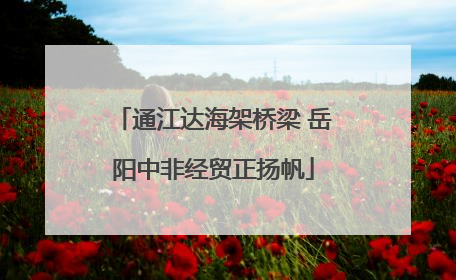通江达海架桥梁 岳阳中非经贸正扬帆