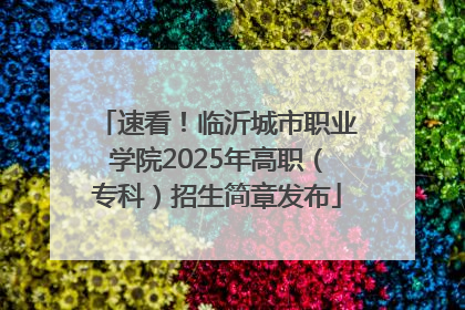 速看！临沂城市职业学院2025年高职（专科）招生简章发布