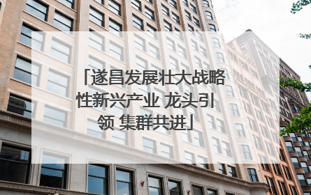 遂昌发展壮大战略性新兴产业 龙头引领 集群共进
