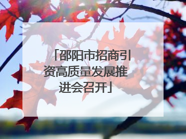 邵阳市招商引资高质量发展推进会召开