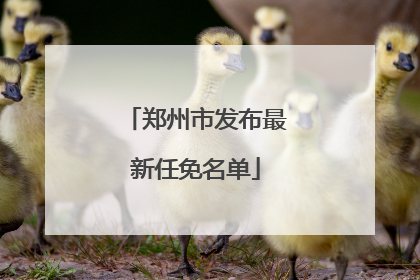 郑州市发布最新任免名单