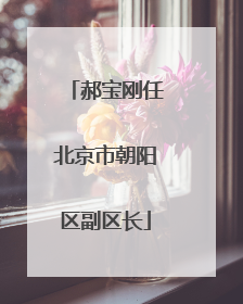 郝宝刚任北京市朝阳区副区长