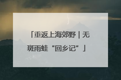 重返上海郊野｜无斑雨蛙“回乡记”