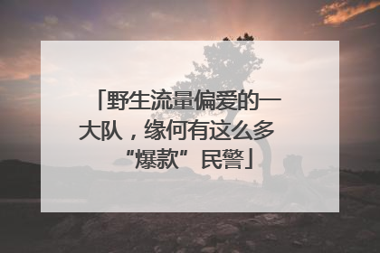 野生流量偏爱的一大队，缘何有这么多“爆款”民警