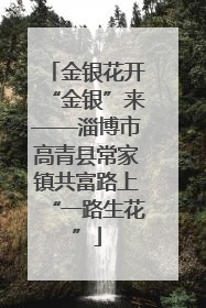 金银花开“金银”来——淄博市高青县常家镇共富路上“一路生花”