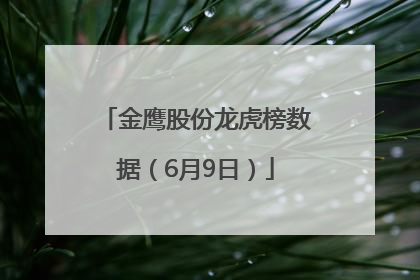 金鹰股份龙虎榜数据（6月9日）