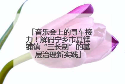 音乐会上的寻车接力！解码宁乡市夏铎铺镇“三长制”的基层治理新实践