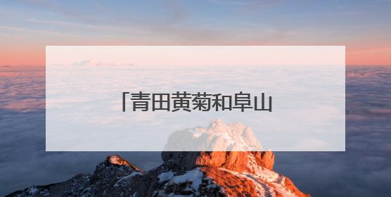 青田黄菊和阜山笋干组团出海