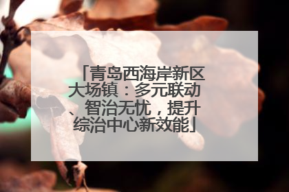 青岛西海岸新区大场镇：多元联动、智治无忧，提升综治中心新效能