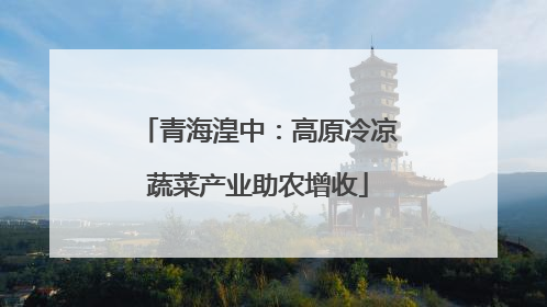 青海湟中：高原冷凉蔬菜产业助农增收
