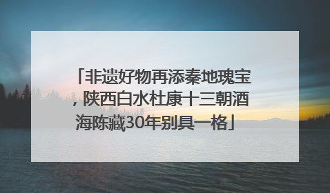 非遗好物再添秦地瑰宝，陕西白水杜康十三朝酒海陈藏30年别具一格