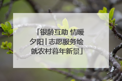 银龄互助 情暖夕阳│志愿服务绘就农村暮年新景