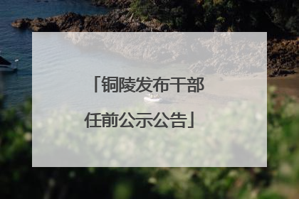 铜陵发布干部任前公示公告