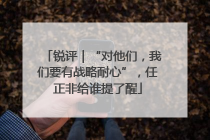 锐评｜“对他们，我们要有战略耐心”，任正非给谁提了醒