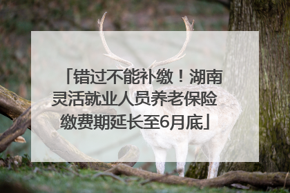 错过不能补缴！湖南灵活就业人员养老保险缴费期延长至6月底