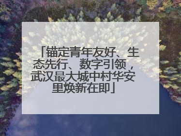 锚定青年友好、生态先行、数字引领，武汉最大城中村华安里焕新在即