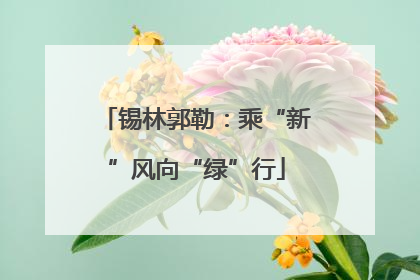 锡林郭勒：乘“新”风向“绿”行