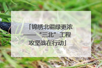 锦绣北疆绿更浓——“三北”工程攻坚战在行动