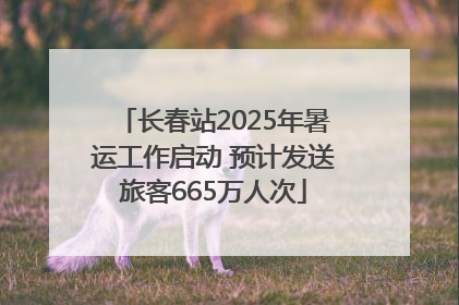 长春站2025年暑运工作启动 预计发送旅客665万人次