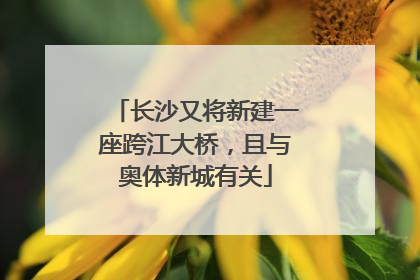 长沙又将新建一座跨江大桥，且与奥体新城有关