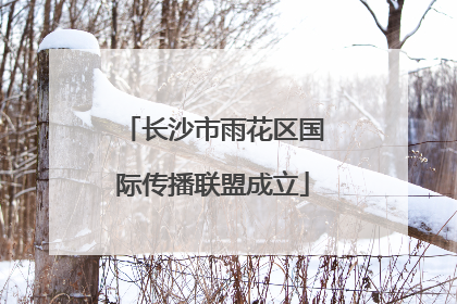 长沙市雨花区国际传播联盟成立