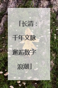长清：千年文脉邂逅数字浪潮