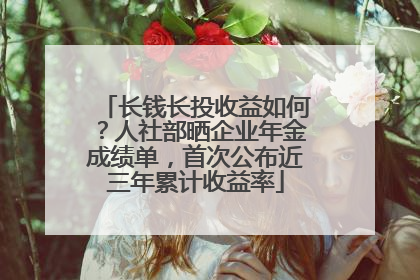 长钱长投收益如何？人社部晒企业年金成绩单，首次公布近三年累计收益率