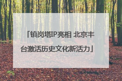 镇岗塔IP亮相 北京丰台激活历史文化新活力