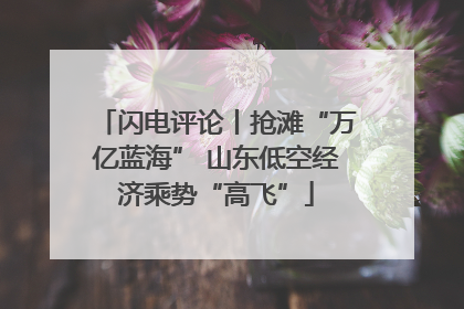 闪电评论丨抢滩“万亿蓝海” 山东低空经济乘势“高飞”